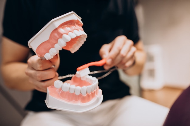 Foto grátis mandíbula de plástico em clínica odontológica