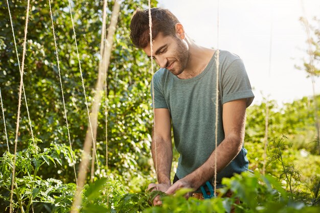 Manhã ensolarada no jardim. Perto de um jovem jardineiro latino-americano maduro bonito na camisa azul, sorrindo, trabalhando no jardim, cortando as folhas mortas.