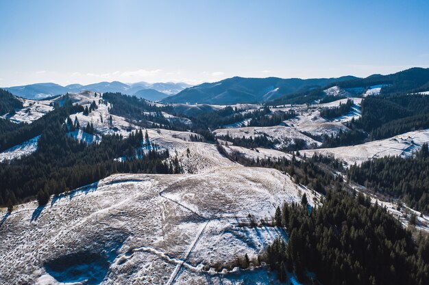 Foto grátis manhã nas montanhas. cárpatos, ucrânia, europa mundo da beleza