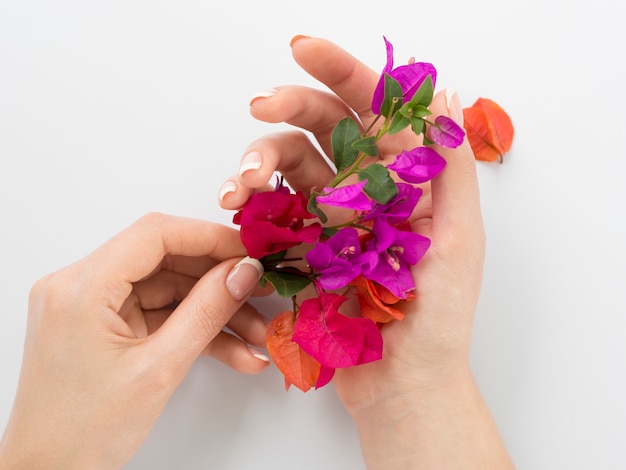 Manicured mãos segurando flores coloridas