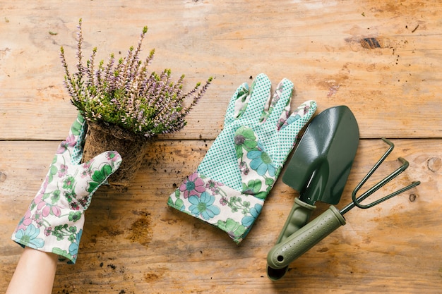 Mão da pessoa em luvas, plantando vaso de flores com ferramenta de jardinagem na mesa de madeira