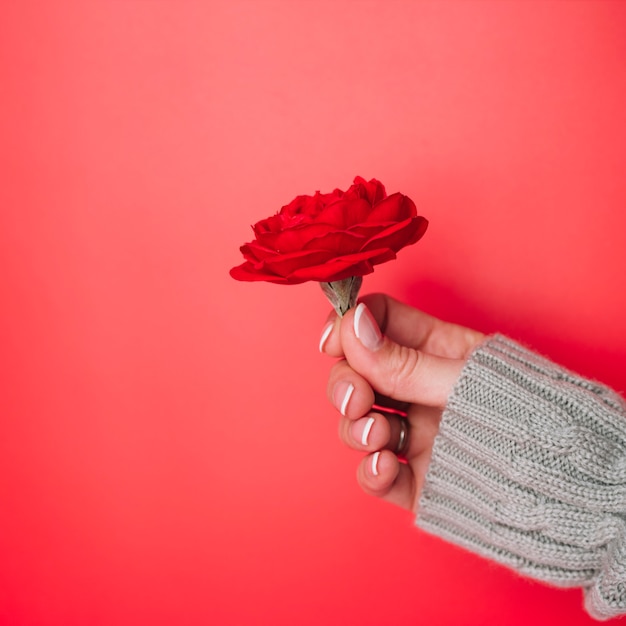 Foto grátis mão da senhora em camisola de malha com flor