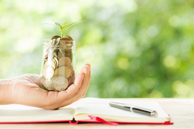 Mão de uma mulher segurando a planta que cresce da garrafa de moedas