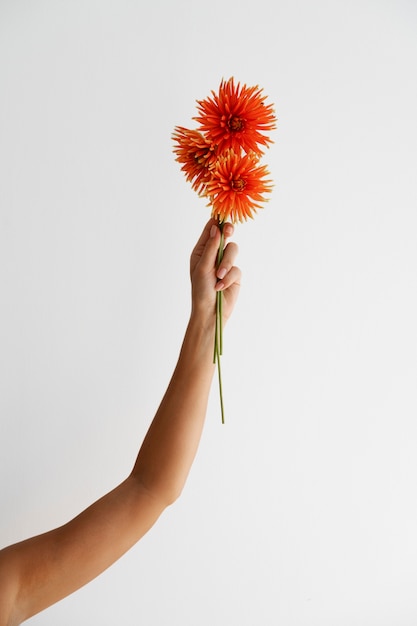 Mão de uma mulher segurando flor