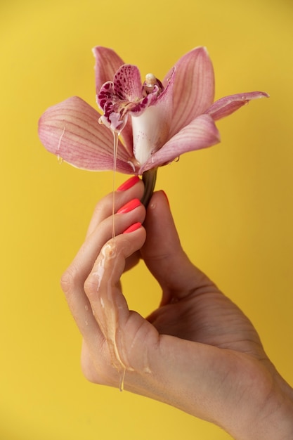 Foto grátis mão de vista lateral segurando a orquídea com fundo amarelo