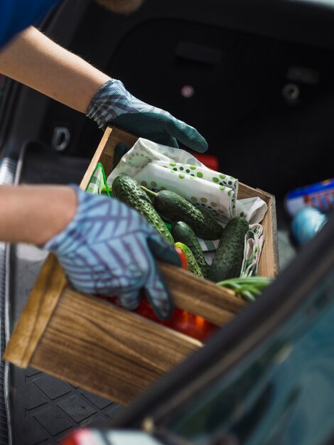 Mão do jardineiro, mantendo a caixa vegetal na mala do carro