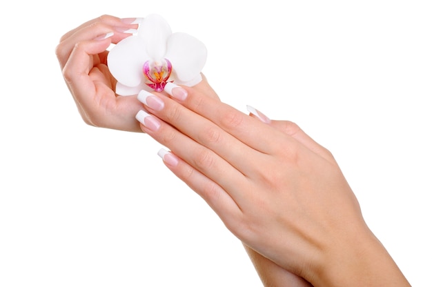 Mão feminina bem cuidada com dedos elegantes e manicure francesa segurando a flor branca