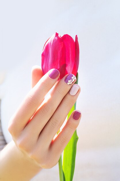 Mão feminina com design de unhas roxas segurando linda tulipa rosa.