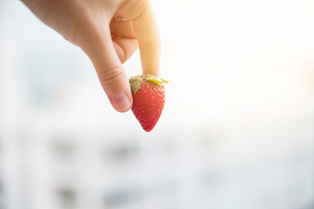 Mão humana segurando morango orgânico inteiro vermelho sobre fundo desfocado