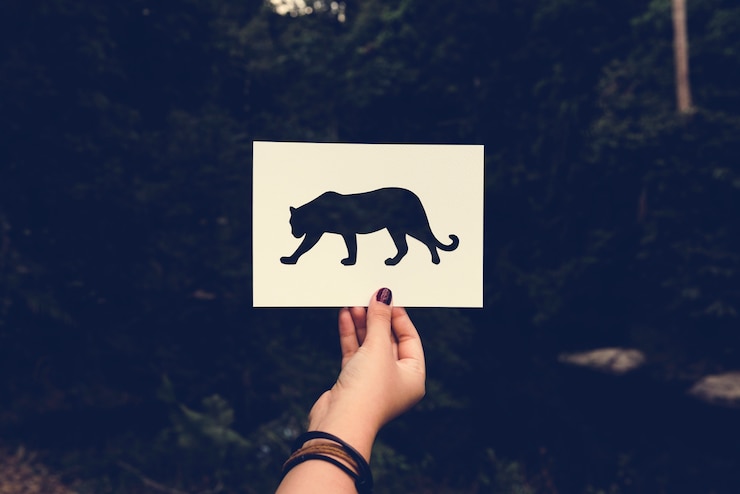 Foto grátis mão humana, segurando, vida selvagem, leopardo, perfurado, ofício papel, em, n