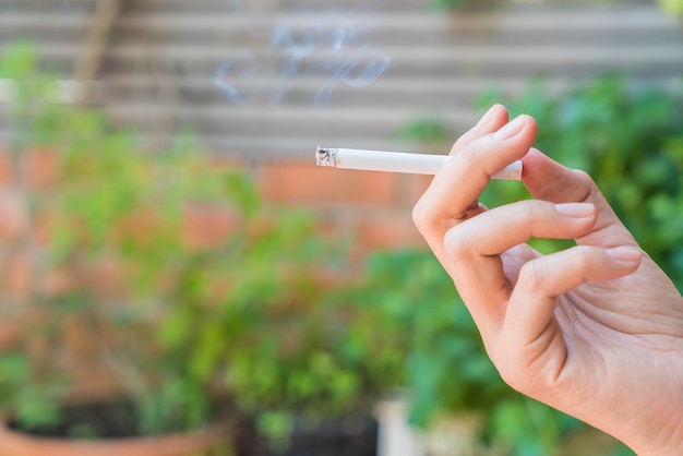 Foto grátis mão mantendo o cigarro