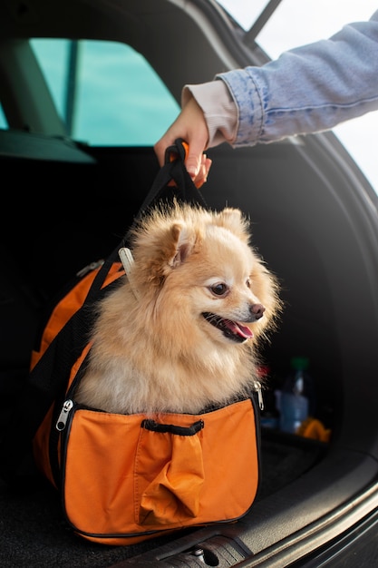 Foto grátis mão segurando a bolsa com cachorro