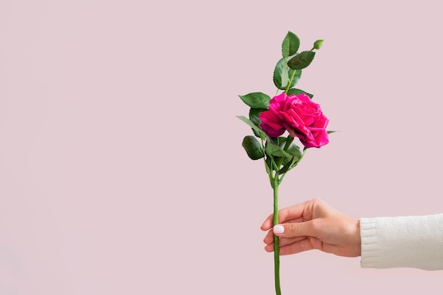 Foto grátis mão segurando o espaço bonito cópia rosa