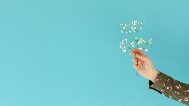 Mão segurando o espaço da cópia da flor