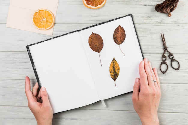 Foto grátis mão segurando o livro artesanal com folhas secas na mesa