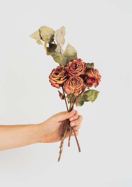 Foto grátis mão segurando um buquê de rosas secas
