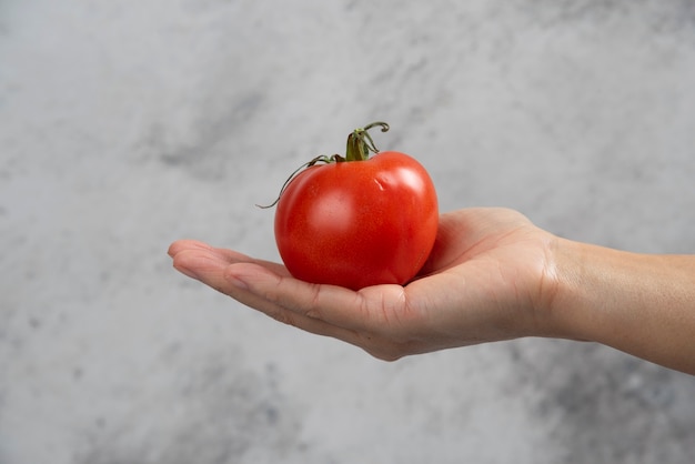 Mão segurando um tomate vermelho fresco sobre um fundo de mármore.