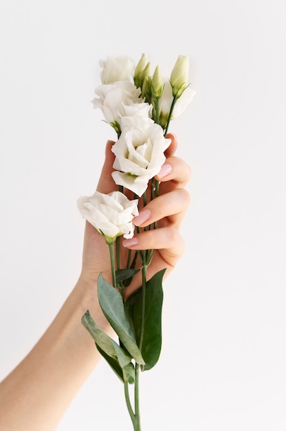 Mão segurando uma flor elegante