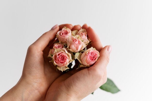 Mão segurando uma flor elegante