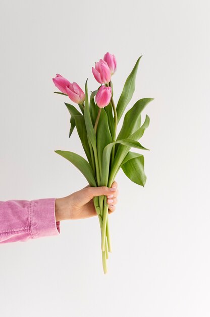 Mão segurando uma flor elegante