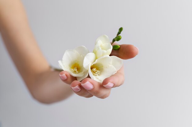 Mão segurando uma flor elegante