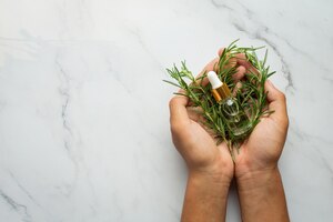Foto grátis mão segurando uma planta fresca de alecrim e uma garrafa de óleo de alecrim