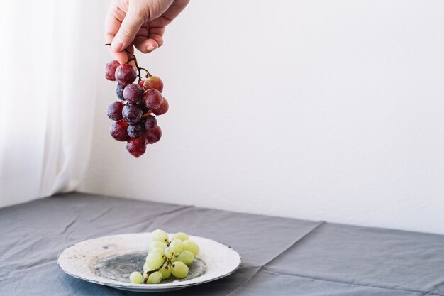 Mão segurando uvas