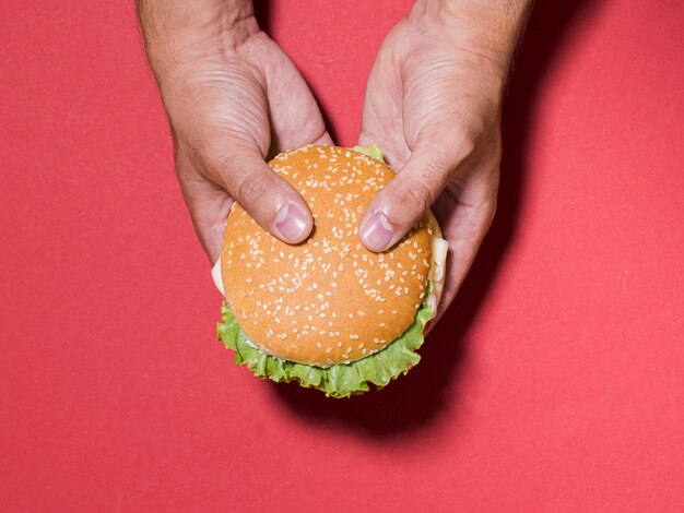 Mãos close-up, segurando, cheeseburger