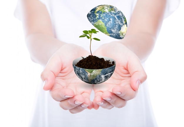 Foto grátis mãos com um mundo e uma planta