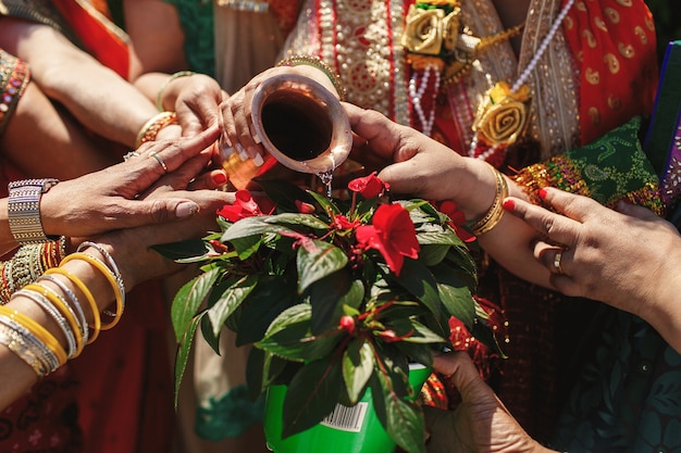 Mãos das mulheres indianas despejam a parte sagrada em uma flor vermelha