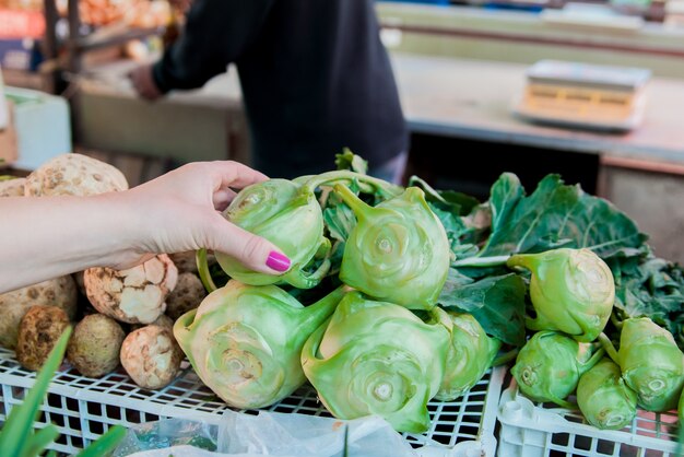 Mãos das mulheres que prendem a couve-rábano. Colheita de outono e conceito de alimentos orgânicos saudáveis. Mulher escolhendo vegetais frescos para medir no supermercado