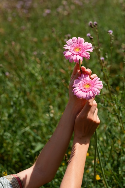 Foto grátis mãos de alto ângulo segurando flor rosa