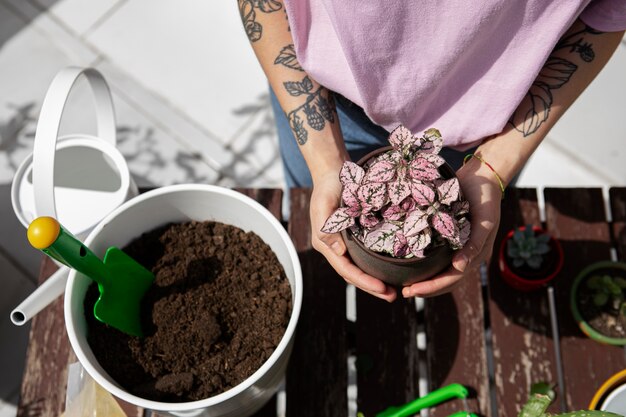 Mãos de alto ângulo segurando vaso de flores