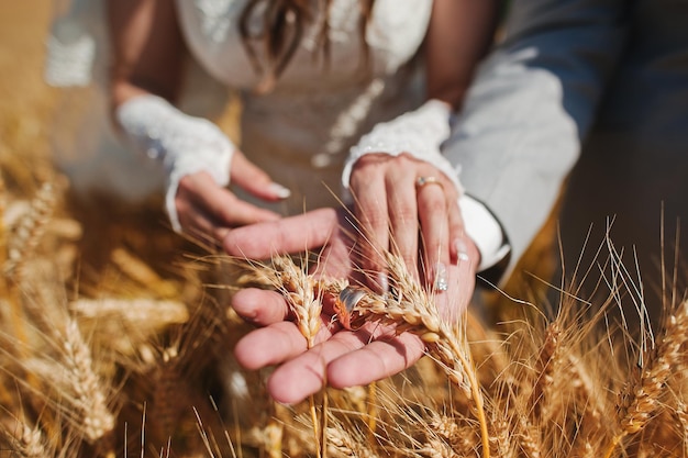 Mãos de casal com alianças de casamento no trigo