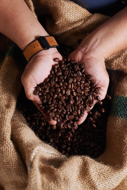 Mãos de homem irreconhecível, segurando um punhado de grãos de café no saco de aniagem