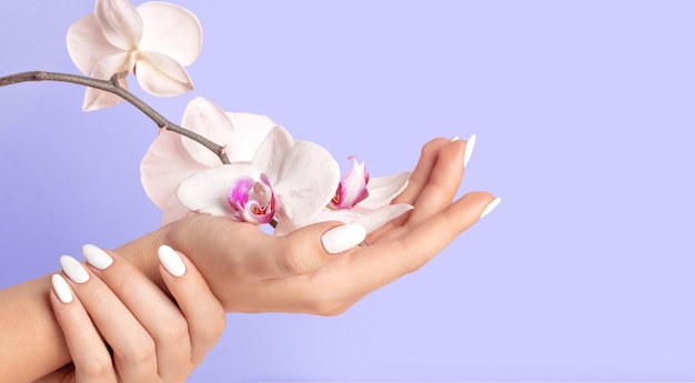 Mãos de mulher jovem com unhas brancas em flores de orquídea com fundo lilás de 2022 anos