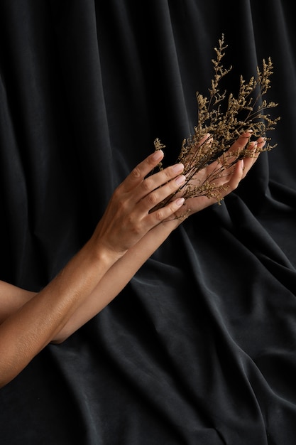 Mãos de mulher segurando a vista lateral da planta