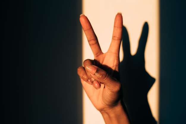 Foto grátis mãos de silhueta de sombra de mulher fazendo gestos