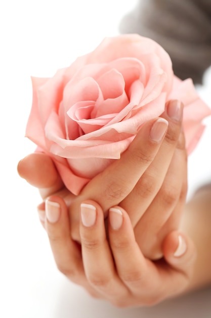 Mãos femininas com rosa rosa. conceito de feminilidade