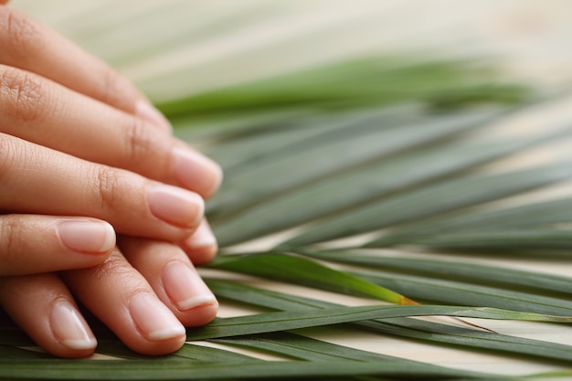 Foto grátis mãos femininas. conceito de cuidados com a pele e manicure