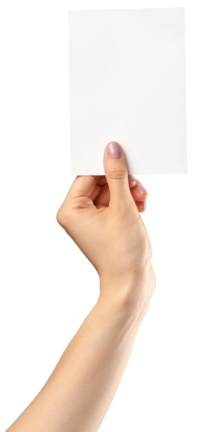 Mãos segurando um papel em branco isolado no branco