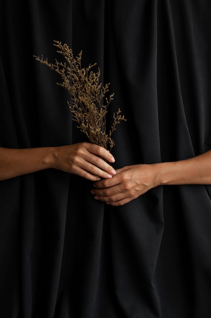 Foto grátis mãos segurando uma planta com fundo escuro