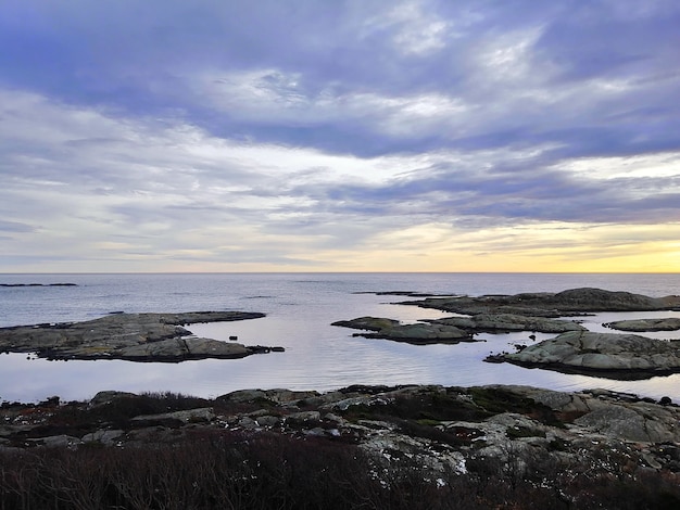 Mar cercado por rochas cobertas de galhos sob um céu nublado durante o pôr do sol na Noruega