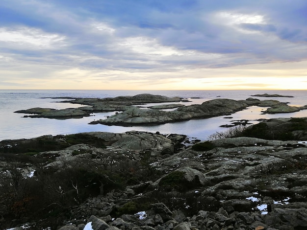 Mar cercado por rochas cobertas de ramos sob um céu nublado durante o pôr do sol na Noruega