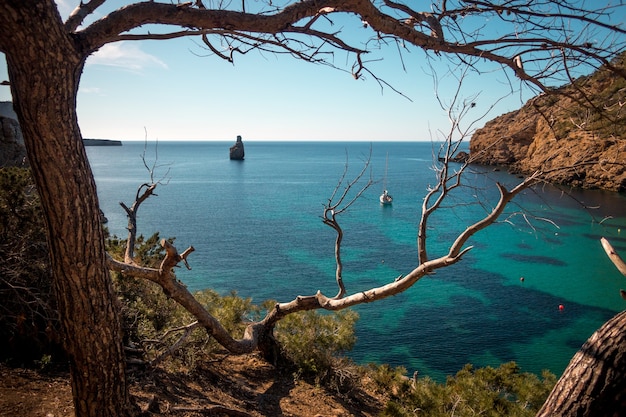 Mar cercado por rochas e vegetação sob o sol em Ibiza