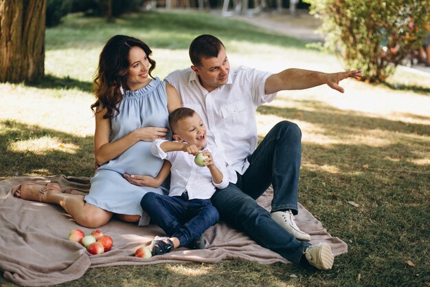 Marido com a esposa grávida e seu filho fazendo piquenique no parque