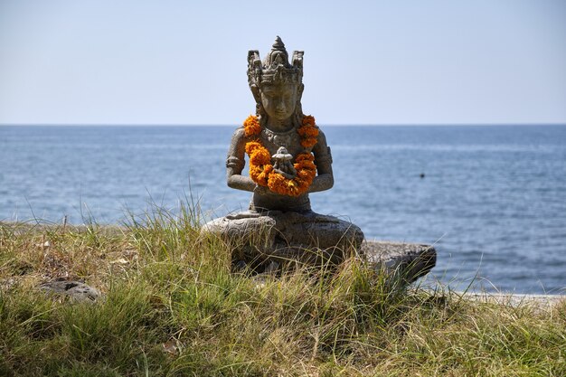 Foto grátis marigolds em bali.