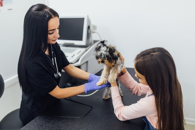 Foto grátis médica sorridente e sua pequena paciente com seu yorkshire terrier