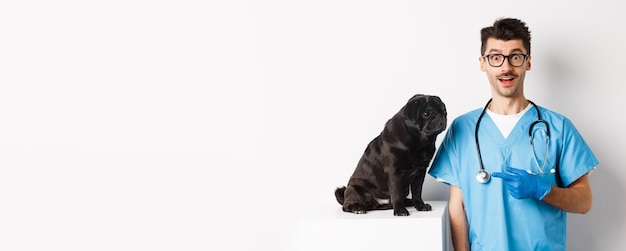 Foto grátis médico espantado olhando para a câmera veterinário masculino apontando o dedo para um cachorro pug preto fofo em exame