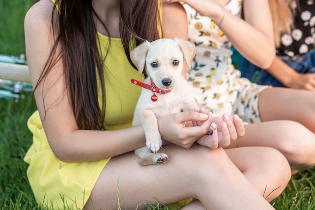 Melhores amigos segurando nos braços um cachorro fofo